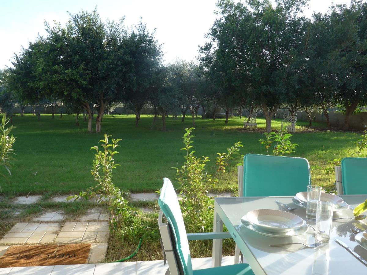 Apartment Plaza Kalamaki (Zakynthos)