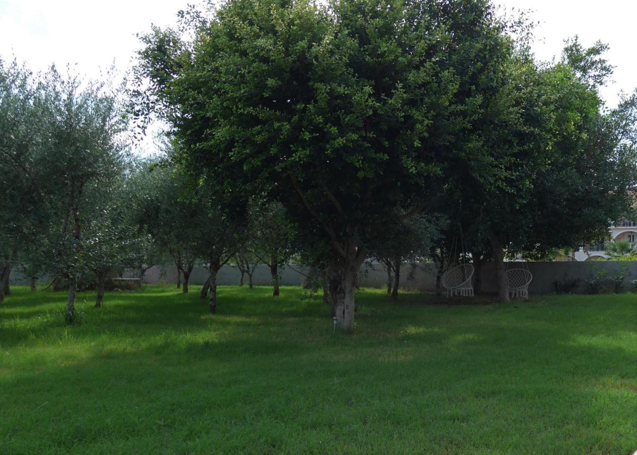 Daire Plaza Kalamákion